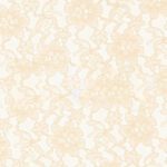 Ivory Raschel Lace Fabric