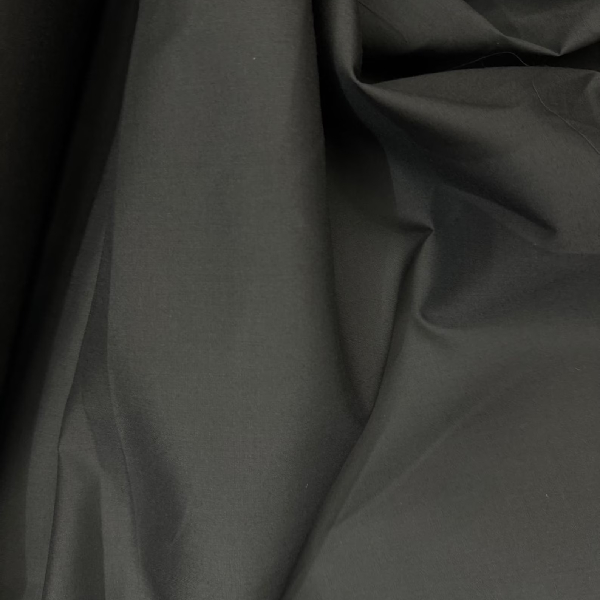 Natural Cotton Canvas 10 oz