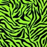 fleece-600×600